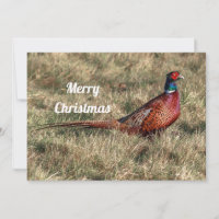 Pheasant Photo Christmas Flat