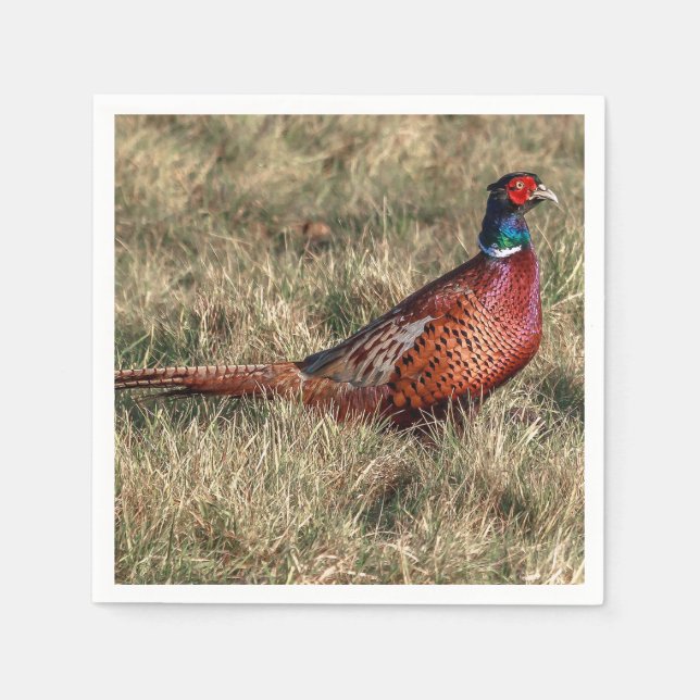Pheasant Photo Napkin (Front)