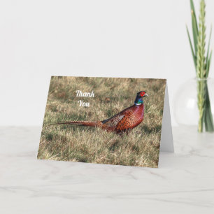 Pheasant Photo Thank You Holiday Card