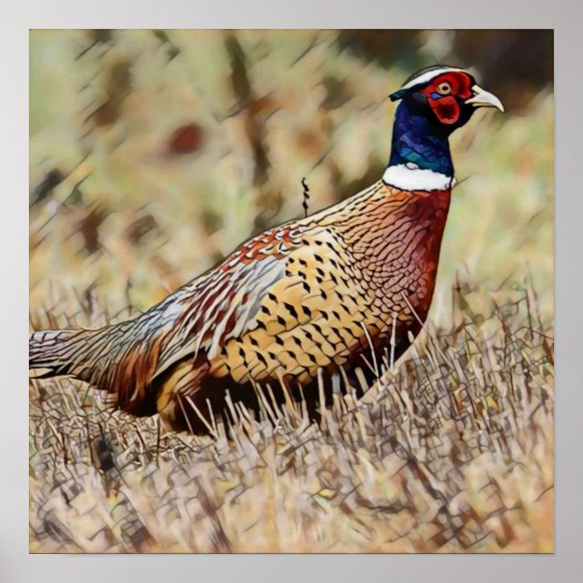 Pheasant Poster (Front)