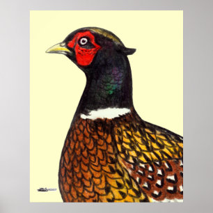 Pheasant:  Ringneck Head Poster