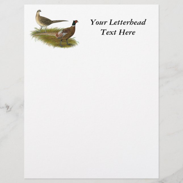 Pheasant:  Ringneck Pair (Front)