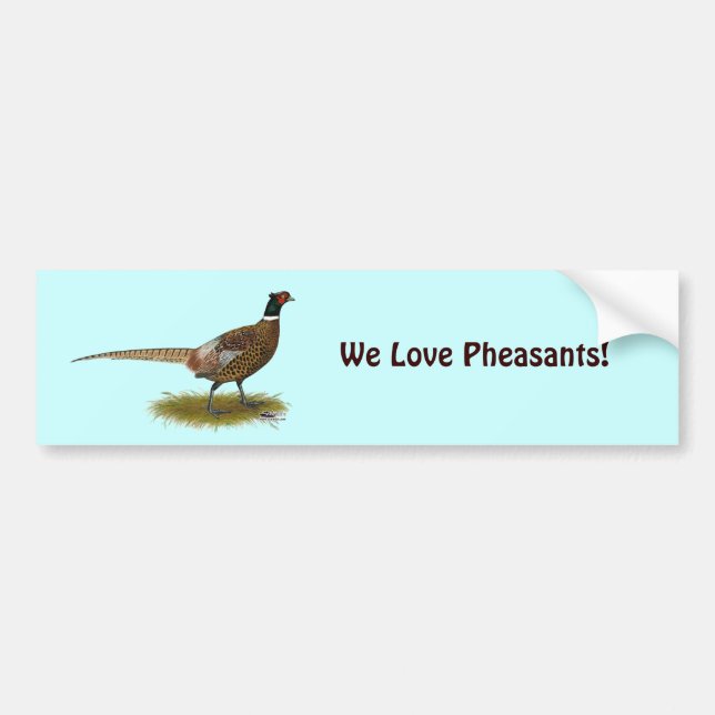 Pheasant Rooster Bumper Sticker (Front)