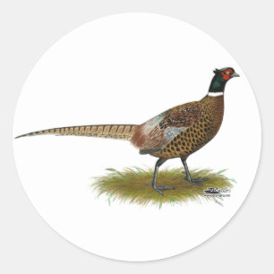 Pheasant Rooster Classic Round Sticker
