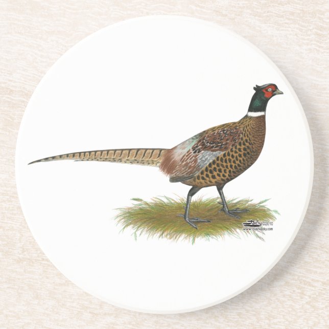 Pheasant Rooster Coaster (Front)