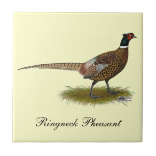 Pheasant Rooster Tile