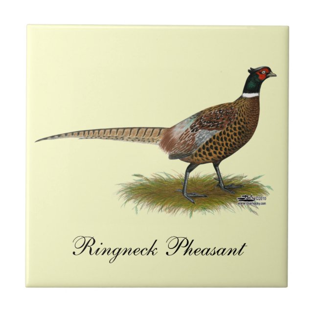 Pheasant Rooster Tile (Front)