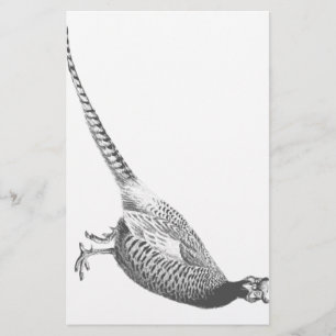 Pheasant Sketch Stationery