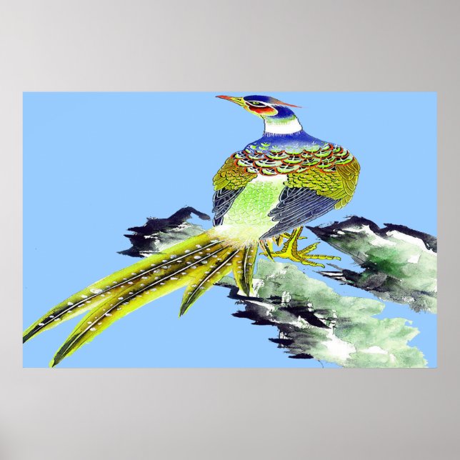 Pheasant Standing poster Drawing 5 (Front)