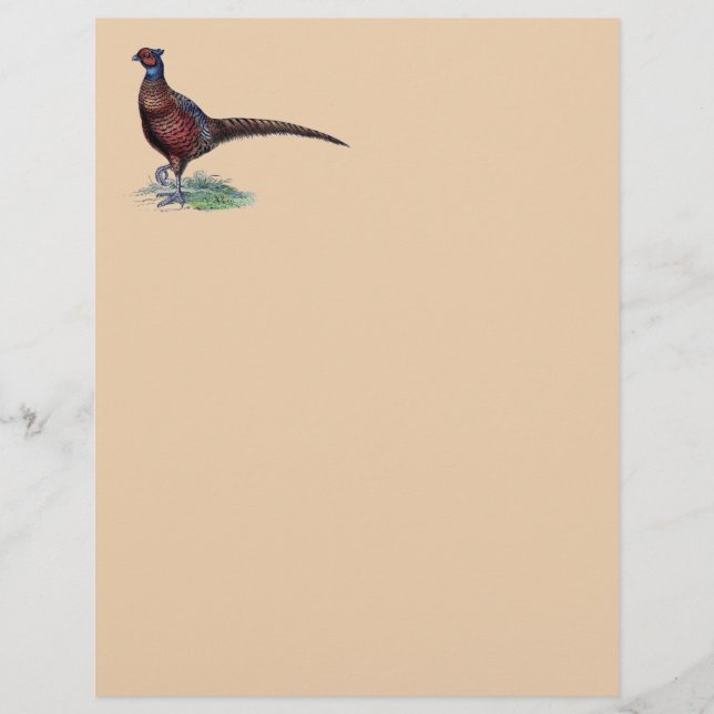 Pheasant Strutt (Front)