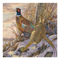 Pheasant Tapestry Poster Triptych