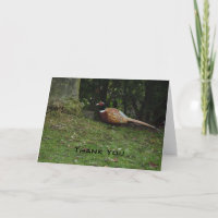Pheasant Thank You Card