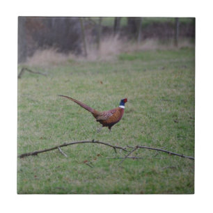 Pheasant Tile