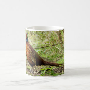 Pheasant - Wild Pheasant Mug