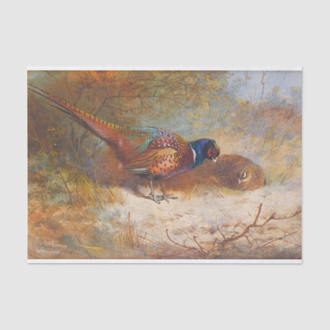  Pheasants by Archibald Thorburn Tissue Paper (Front)