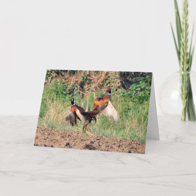 Pheasants fighting greeting card (Front)