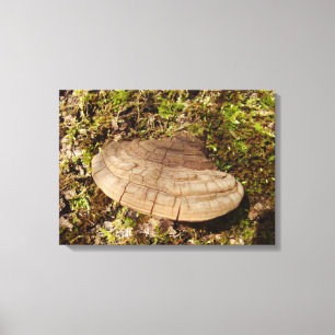 Phellinus igniarius Mushroom Canvas Print