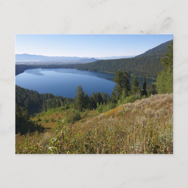 Phelps Lake III at Grand Teton National Park Postcard (Front)