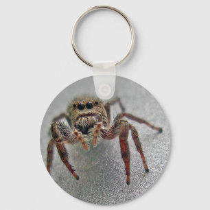 Phiddipus Jumping Spider Series Matching Items Keychain