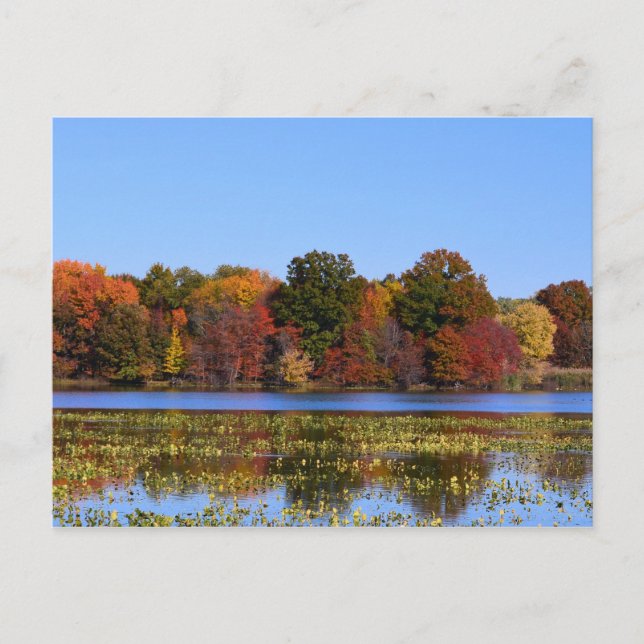 Philadelphia Fall colours Postcard (Front)