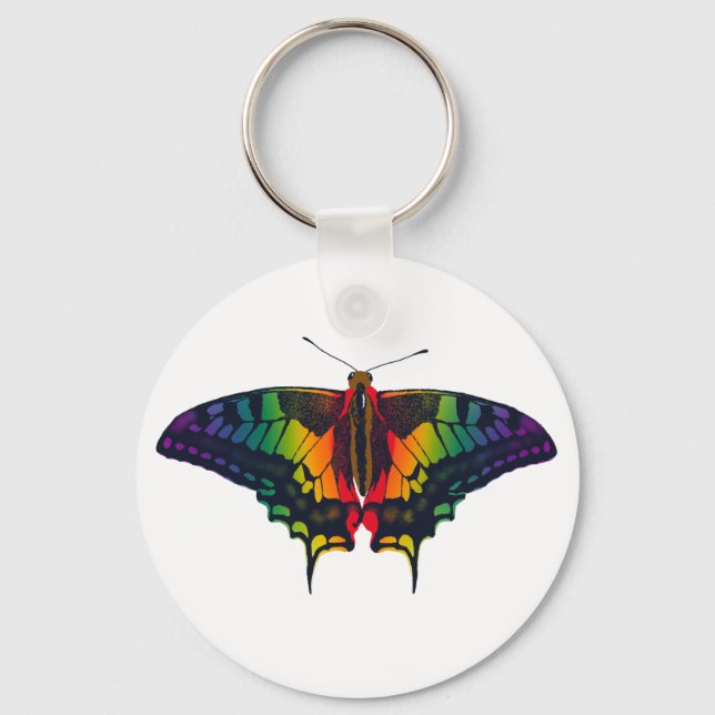 Philadelphia Rainbow Pride Flag Swallowtail Keychain (Front)