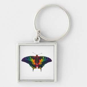 Philadelphia Rainbow Pride Flag Swallowtail Keychain