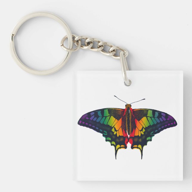 Philadelphia Rainbow Pride Flag Swallowtail Keychain (Front)