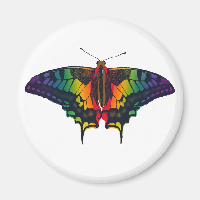 Philadelphia Rainbow Pride Flag Swallowtail Magnet (Front)