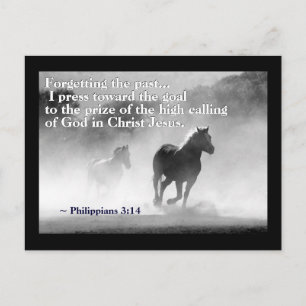Philippians 3:14 I press toward the goal, Horses Postcard