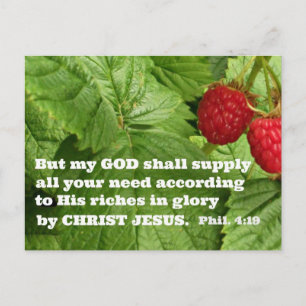 Philippians 4:19  But my God shall supply all your Postcard