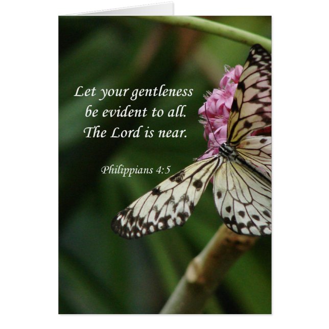 Philippians 4:5 Butterfly Flowers (Front)
