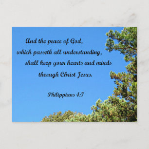 Philippians 4:7 And the peace of God.... Postcard