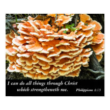 Philippiens 4:13 Poster du Verse de la Bible
