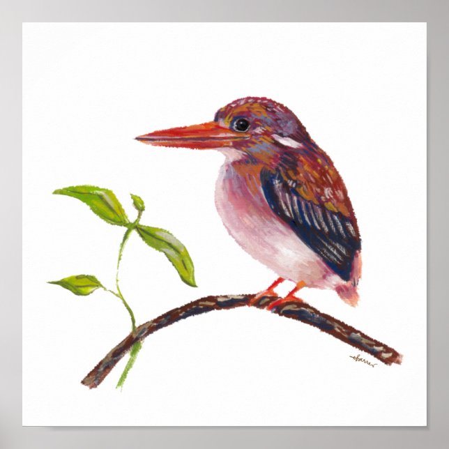 Philippine Dwarf Kingfisher Endemic Bird Poster (Front)