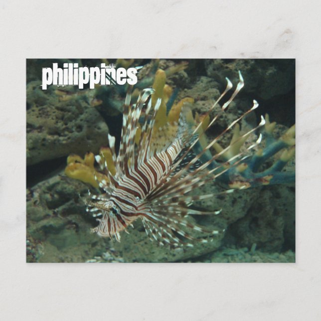 Philippines Postcard (Front)