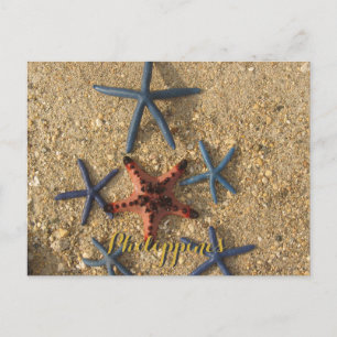 Philippines Red & Blue Starfish Postcard