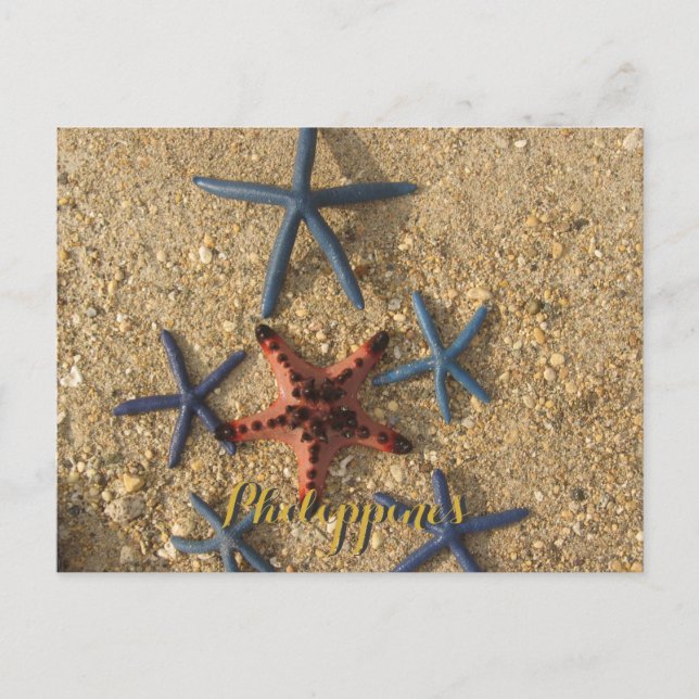 Philippines Red & Blue Starfish Postcard (Front)