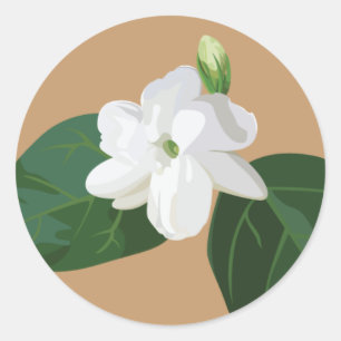 Philippines Series: Sampaguita Flower Classic Round Sticker