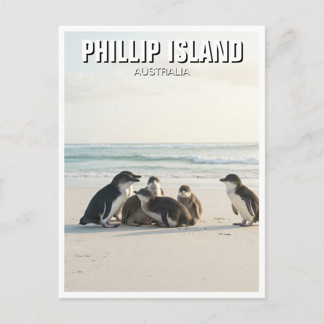 Phillip Island Australia Postcard (Front)