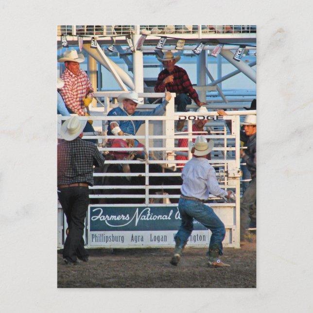 Phillipsburg, Kansas Rodeo 2007 Postcard (Front)