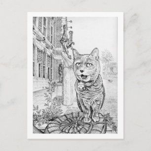 Philly Cat near Academy of Natural Sciences  Postcard
