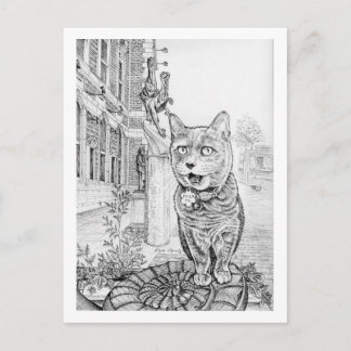 Philly Cat near Academy of Natural Sciences  Postcard