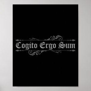 Philosopher Philosophy Student Latin Philosophy Co Poster