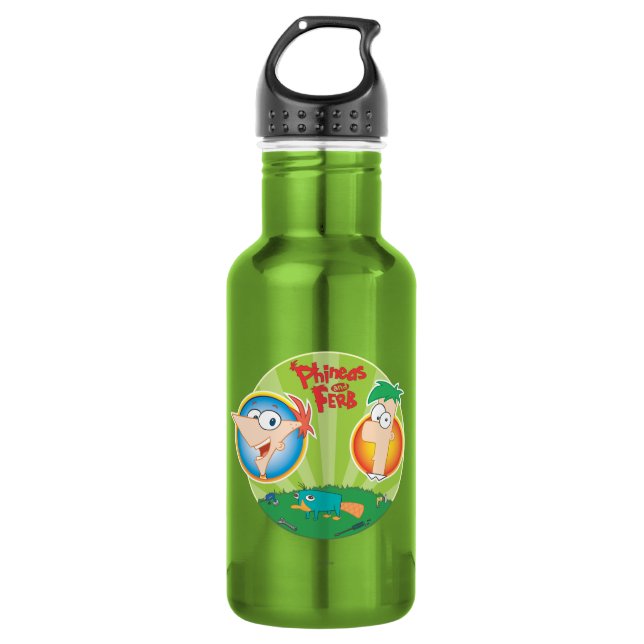 Phineas and Ferb 532 Ml Water Bottle (Front)