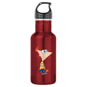 Phineas and Ferb Standing 532 Ml Water Bottle