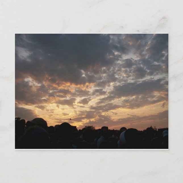 Phish Ball Postcard (Front)