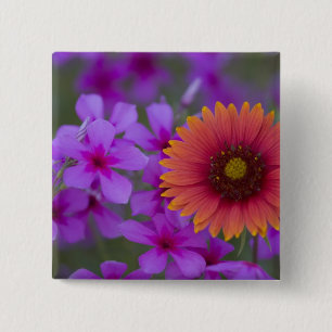 Phlox and Indian Blanket near Devine Texas 2 Inch Square Button