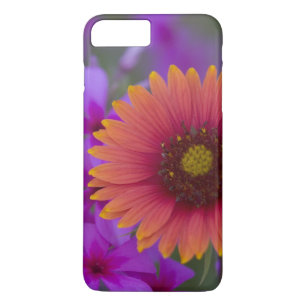 Phlox and Indian Blanket near Devine Texas Case-Mate iPhone Case