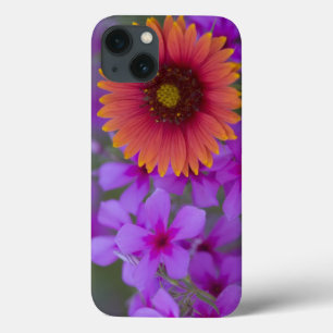 Phlox and Indian Blanket near Devine Texas iPhone 13 Case