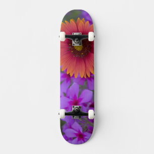 Phlox and Indian Blanket near Devine Texas Skateboard